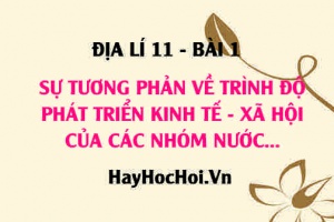 Sự phân chia thành các nhóm nước, Sự tương phản về trình độ phát triển kinh tế - xã hội của các nhóm nước - Địa lí 11 bài 1